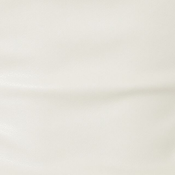 Dynamite Gisele Rainy Day Beige faux leather pants US 2 (DOWN TO TRADE for US 4) - Picture 8 of 8